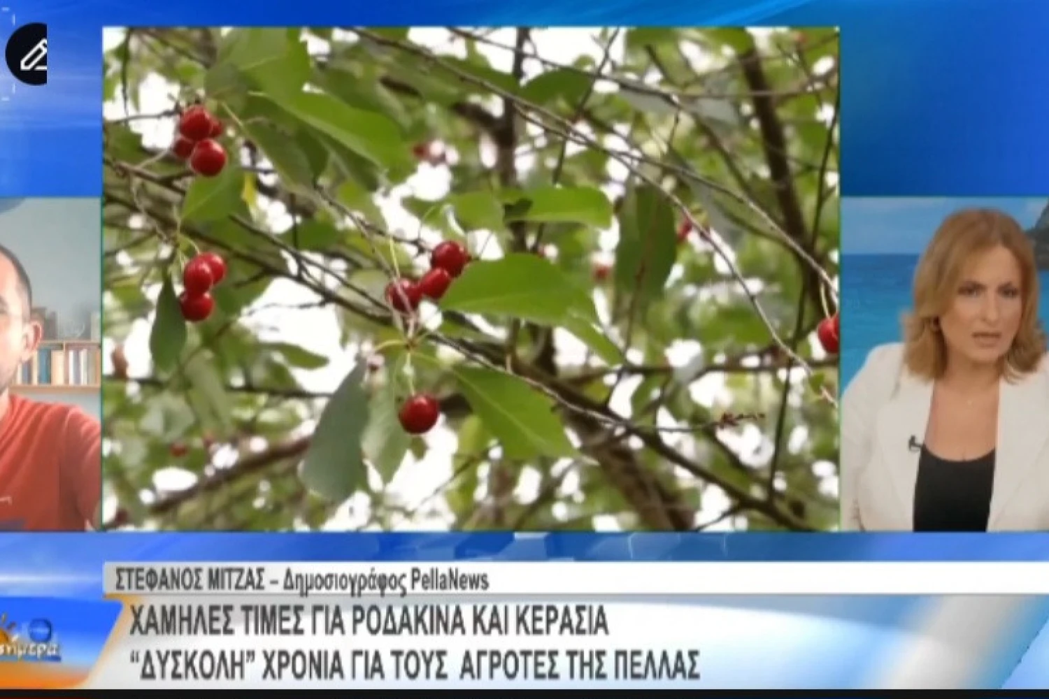 Στο TV100 ο δημοσιογράφος του PellaNews.gr Στέφανος Μίντζας: «Οι αγρότες της Πέλλας βρίσκονται σε οριακή κατάσταση»