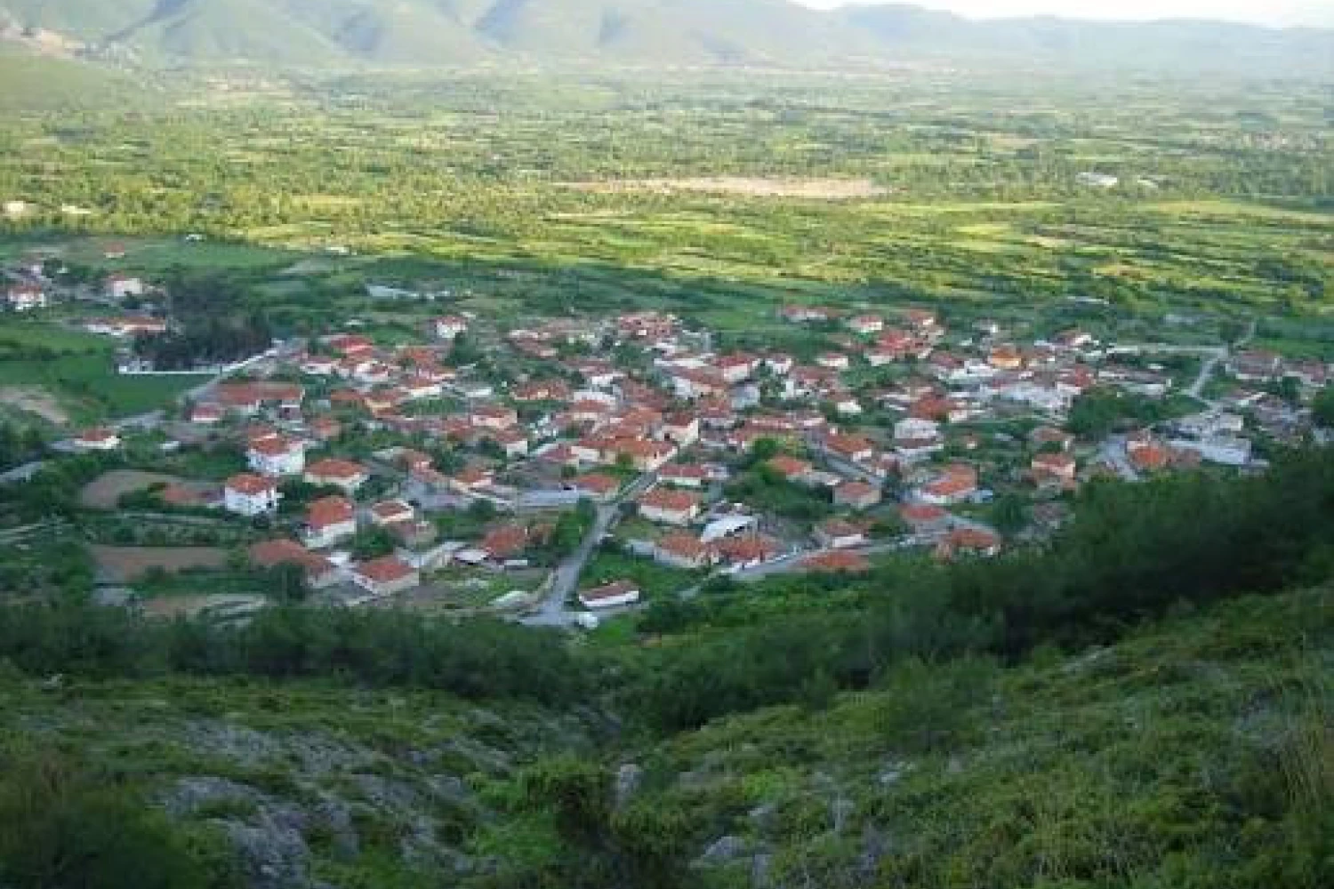 Θηριόπετρα Αλμωπίας: Ηχηρή απάντηση κατοίκων στον Παπανώτα για την «εκκλησιαστική ηχορύπανση»
