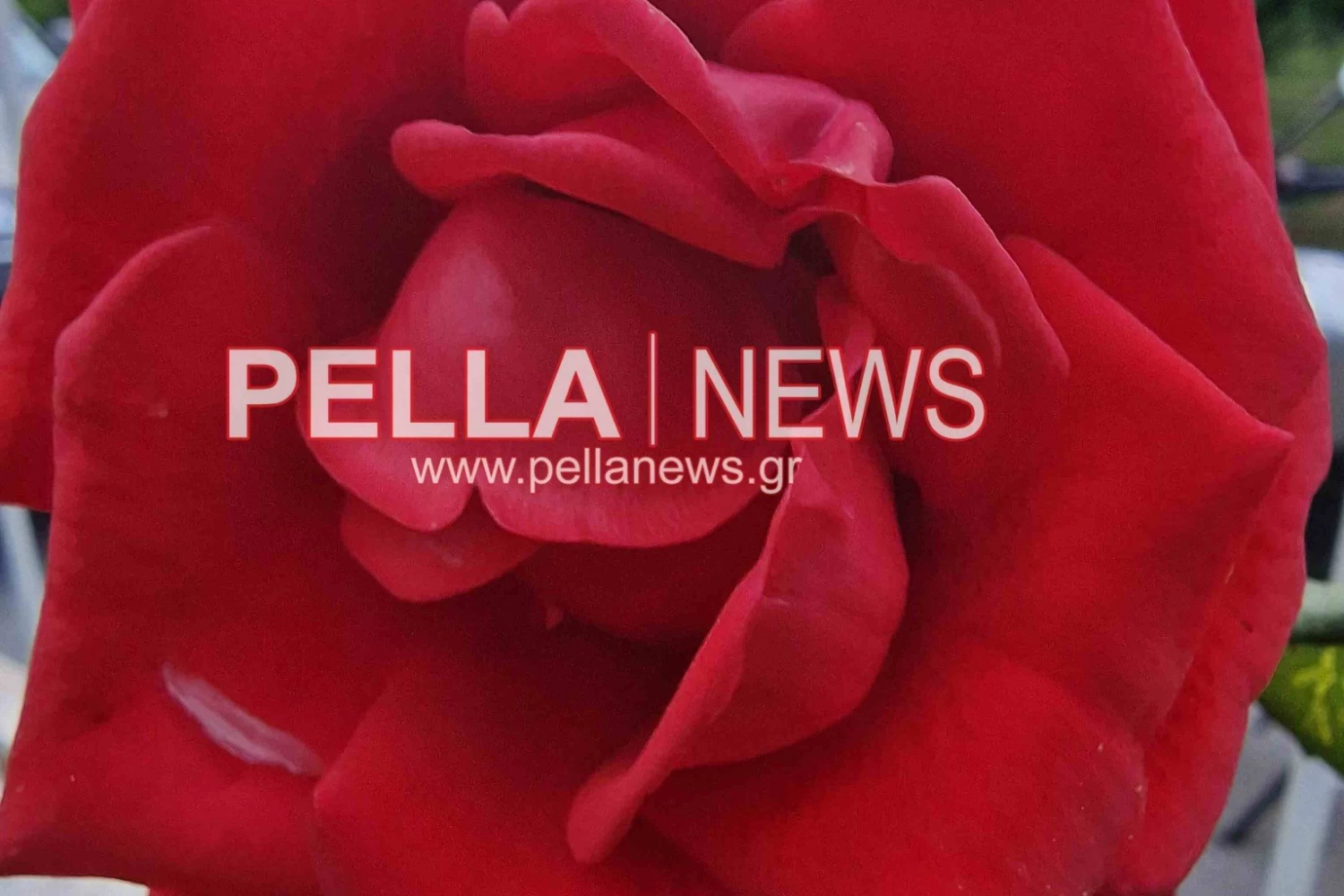 Ποιοι γιορτάζουν σήμερα, Σάββατο 13 Ιουνίου