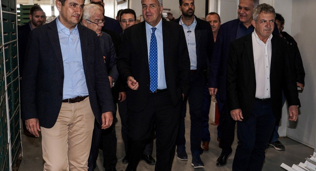 Άμεση λύση στα προβλήματα των ελαιοπαραγωγών της Κρήτης από τον ΥπΑΑΤ, Μ. Βορίδη