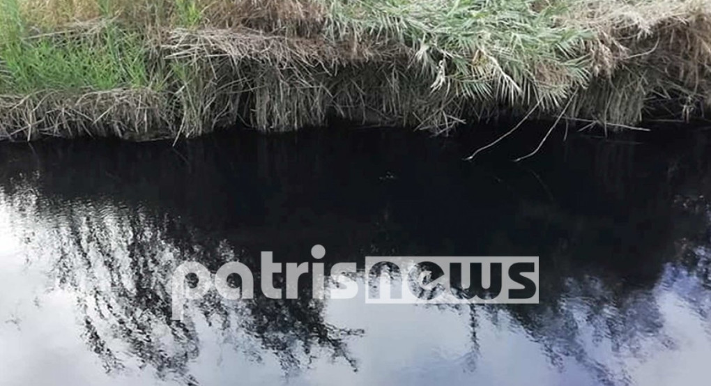 Πηνειός: Μαύρισε ο ποταμός, εκατοντάδες νεκρά ψάρια