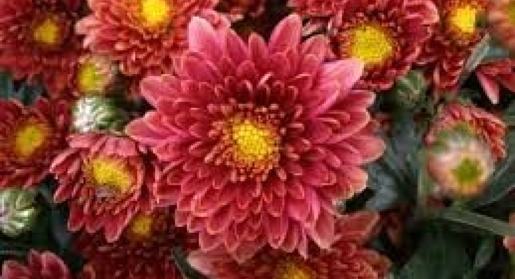 Ποιος γιορτάζει σήμερα...