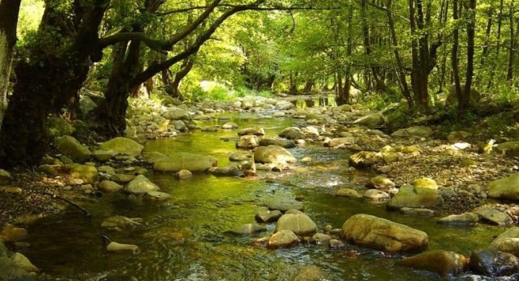 Δράση ενίσχυσης για Βόρα-Πάικο-Βέρμιο από την Περιφέρεια Κ.Μ. 