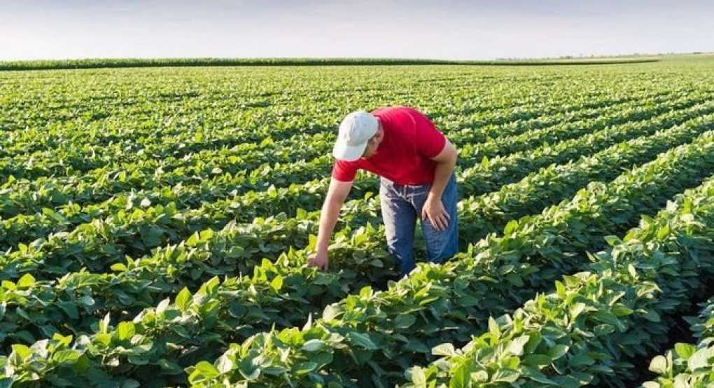 Οι αγρότες εγκατέλειψαν τον τρόπο ζωής τους και κινδυνεύουν