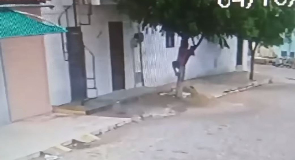 Άνδρας σκαρφάλωσε στα δέντρα για να γλιτώσει από τη γυναίκα του