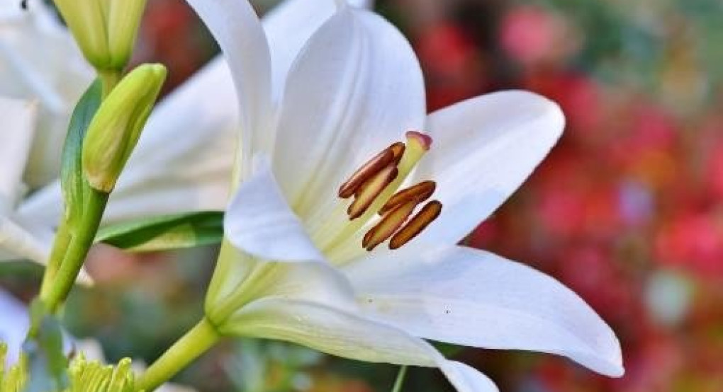 Πείτε τους χρόνια πολλά...