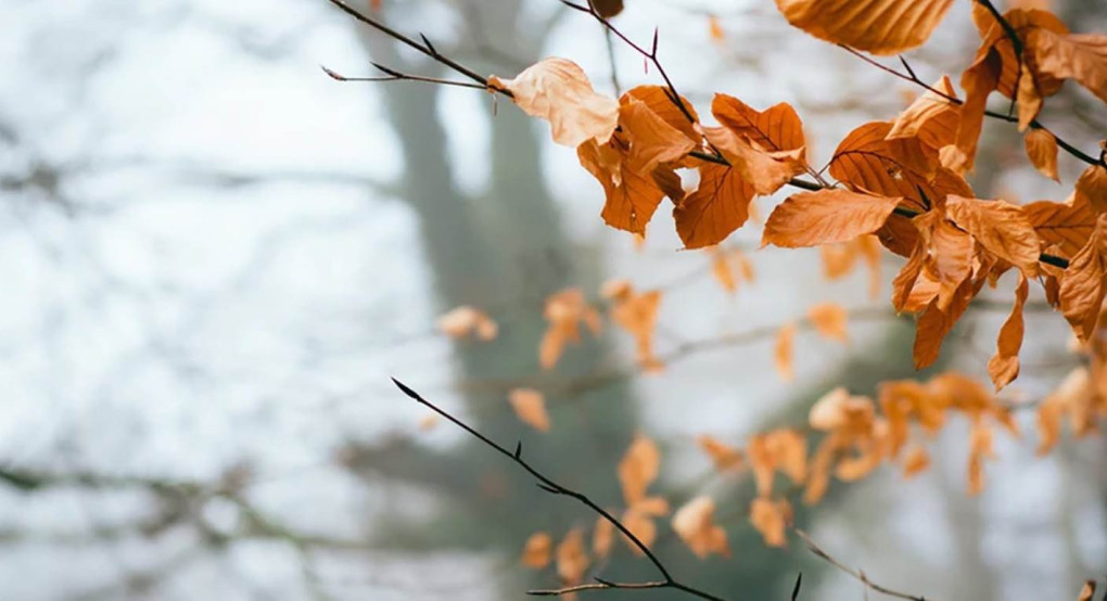 Ο καιρός μας...