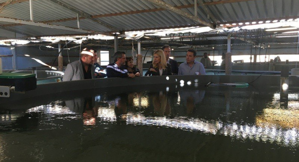 Φ.Αραμπατζή: «Από την Αιτωλοακαρνανία εκπέμπουμε μήνυμα στήριξης της ελληνικής αγροτικής παραγωγής»