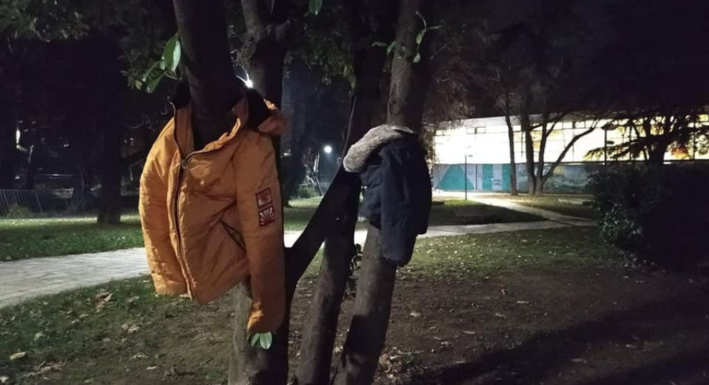 Μπουφάν στα δέντρα του δήμου Έδεσσας