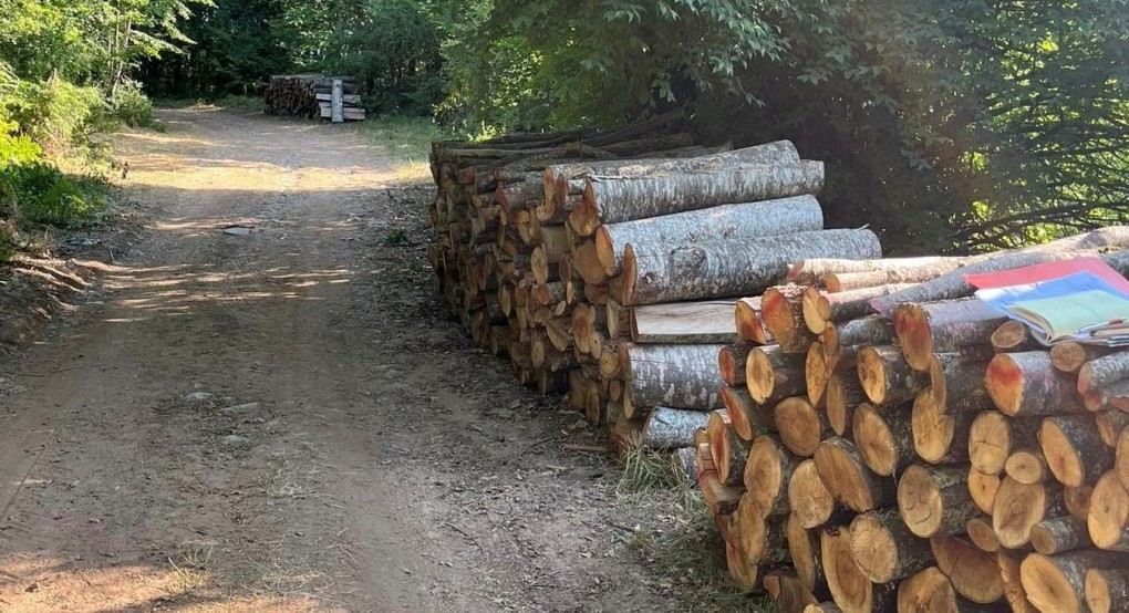 Ξεκίνησε η διάθεση καυσόξυλων για την κάλυψη αναγκών ευπαθών ομάδων Ξεκίνησε η διάθεση καυσόξυλων για την κάλυψη αναγκών ευπαθών ομάδων
