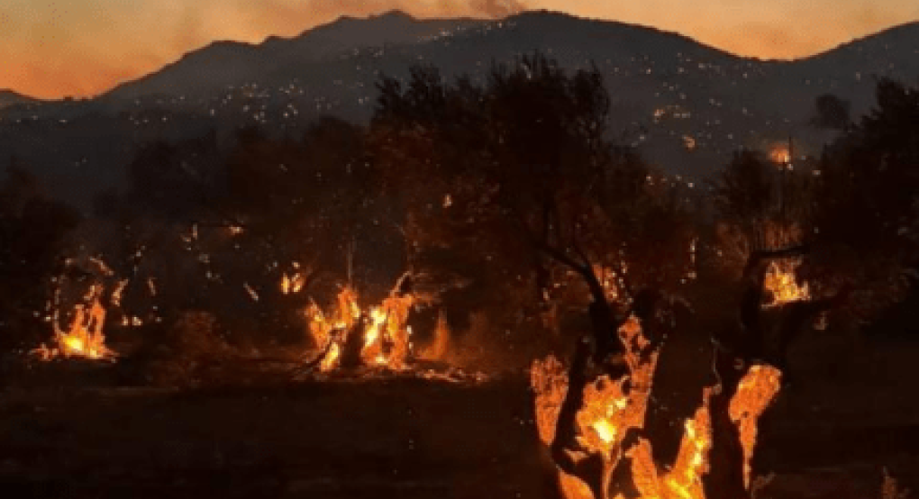 Ρέθυμνο: Ενισχύσεις από Αθήνα για τη μεγάλη φωτιά που καίει ανεξέλεγκτη Ρέθυμνο: Ενισχύσεις από Αθήνα για τη μεγάλη φωτιά που καίει ανεξέλεγκτη