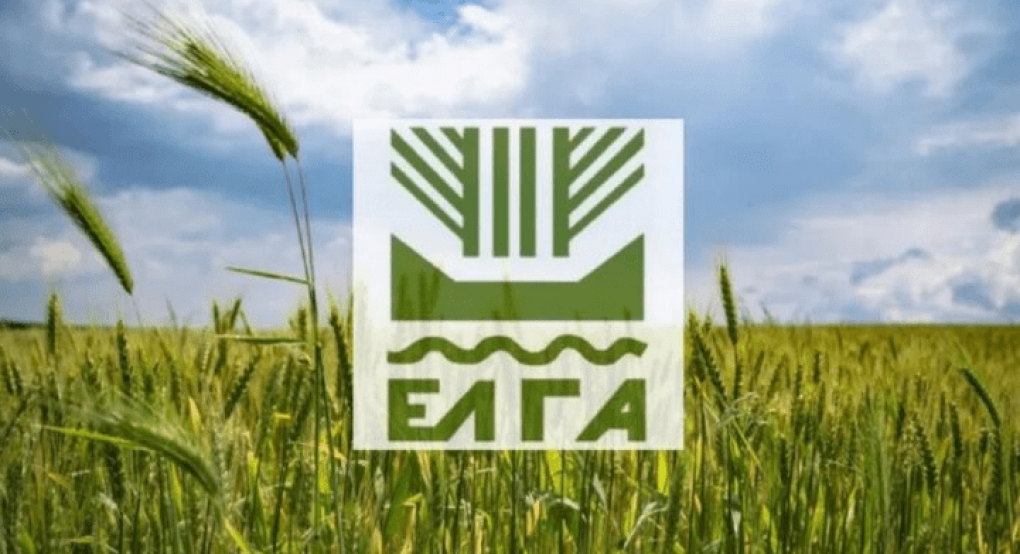 ΕΛΓΑ: Παράταση προθεσμίας του διαγωνισμού για το πρόγραμμα Αντιχαλαζικής Προστασίας ΕΛΓΑ: Παράταση προθεσμίας του διαγωνισμού για το πρόγραμμα Αντιχαλαζικής Προστασίας