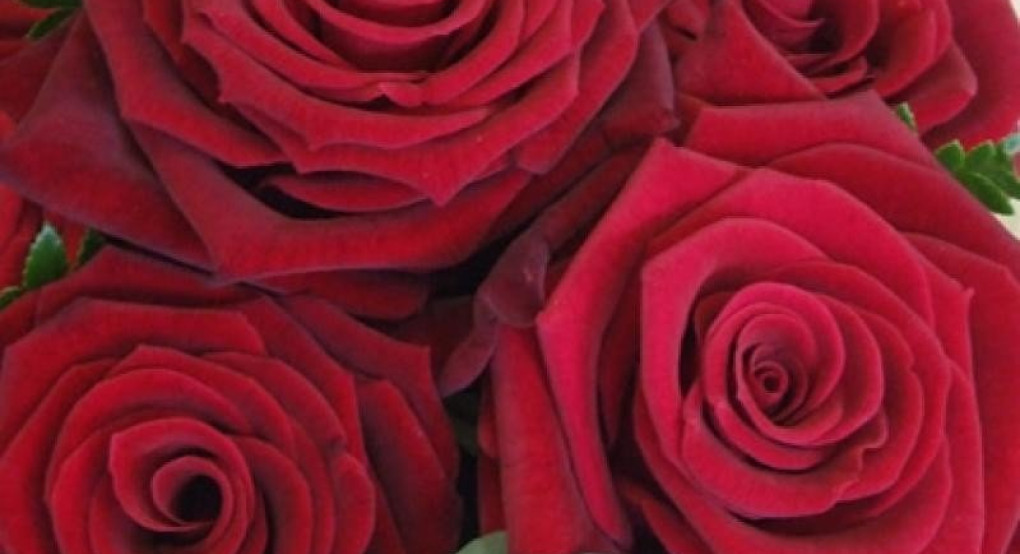 Πείτε τους χρόνια πολλά...