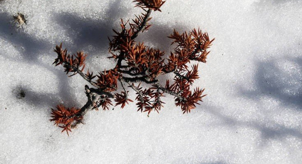 Kαιρός: Έρχεται ο πραγματικός χειμώνας-Ψυχρή εισβολή στα τέλη της εβδομάδας