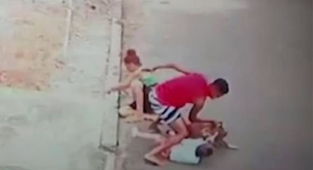 Βραζιλία: 20χρονος έδωσε μάχη με πίτμπουλ που είχε αρπάξει 4χρονο αγόρι