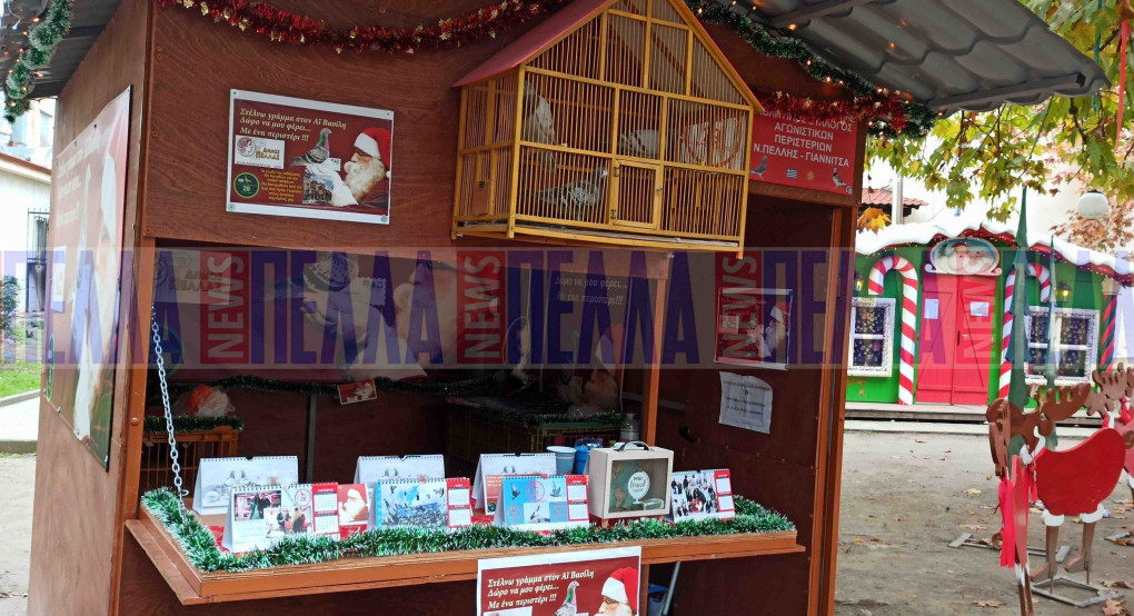 Γιαννιτσά: Γράμμα στον Άγιο Βασίλη με...ταχυδρομικό περιστέρι! 