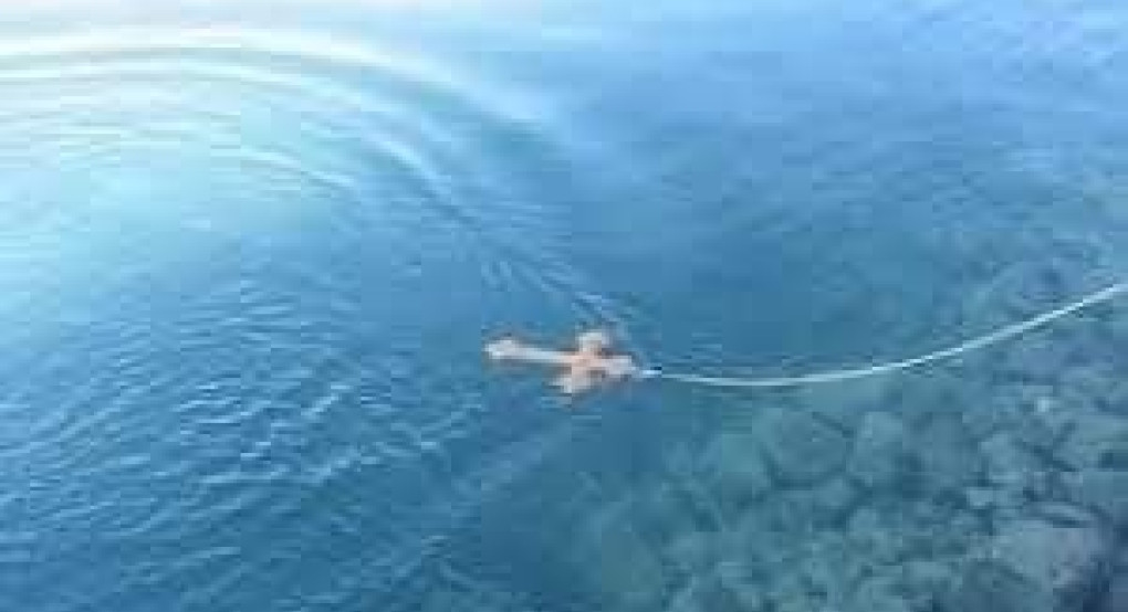 Πέτρος Ζερζης: Φωτισμένες ψυχές, φωτισμένα μυαλά 