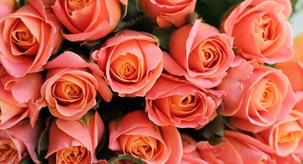 Πείτε τους Χρόνια πολλά!!!