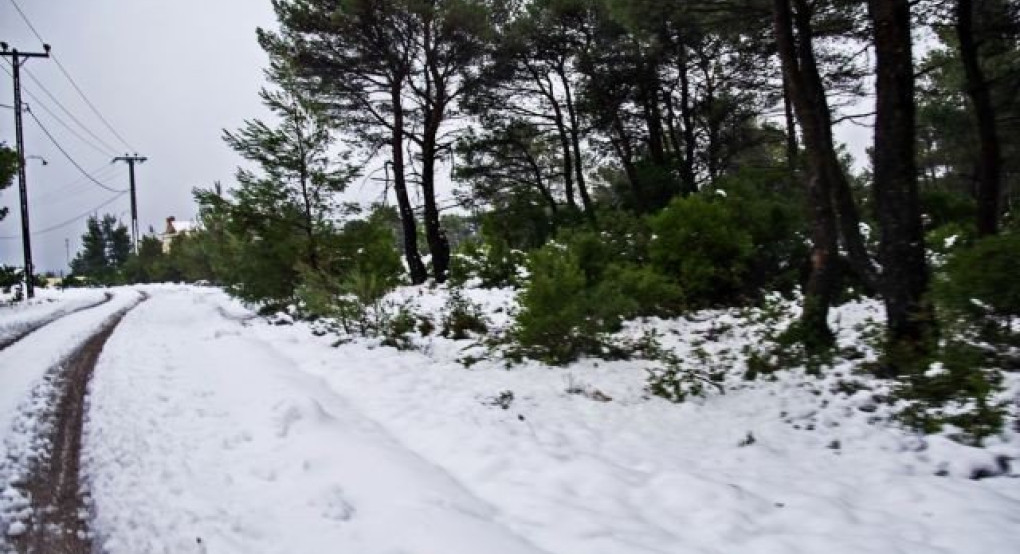 Καιρός : «Πόλεμος» μετεωρολόγων για την ψυχρή εισβολή