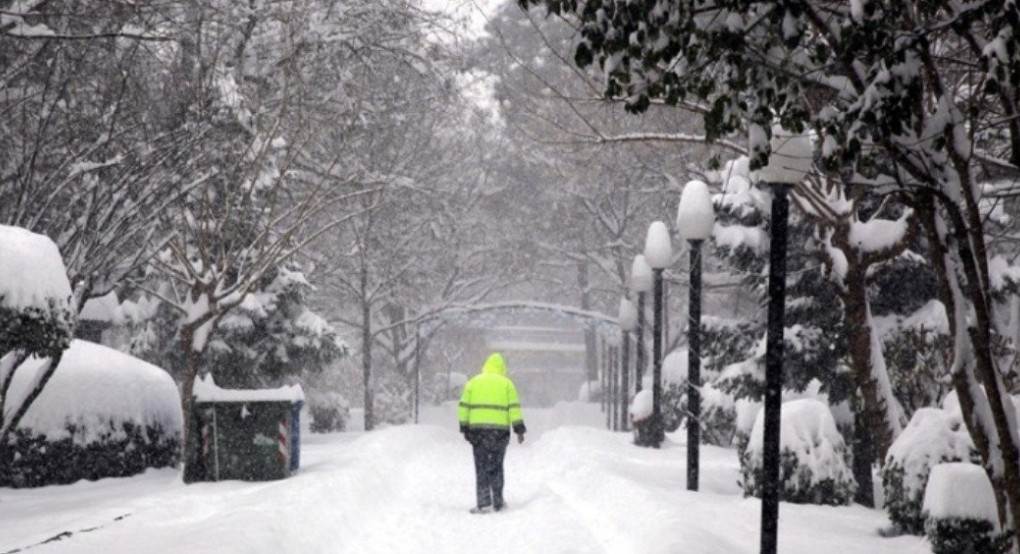 Έρχεται η Ζηνοβία 