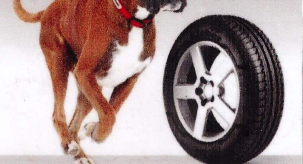 Το Κέντρο ελαστικών Μουταφης εύχεται Χρόνια πολλά 