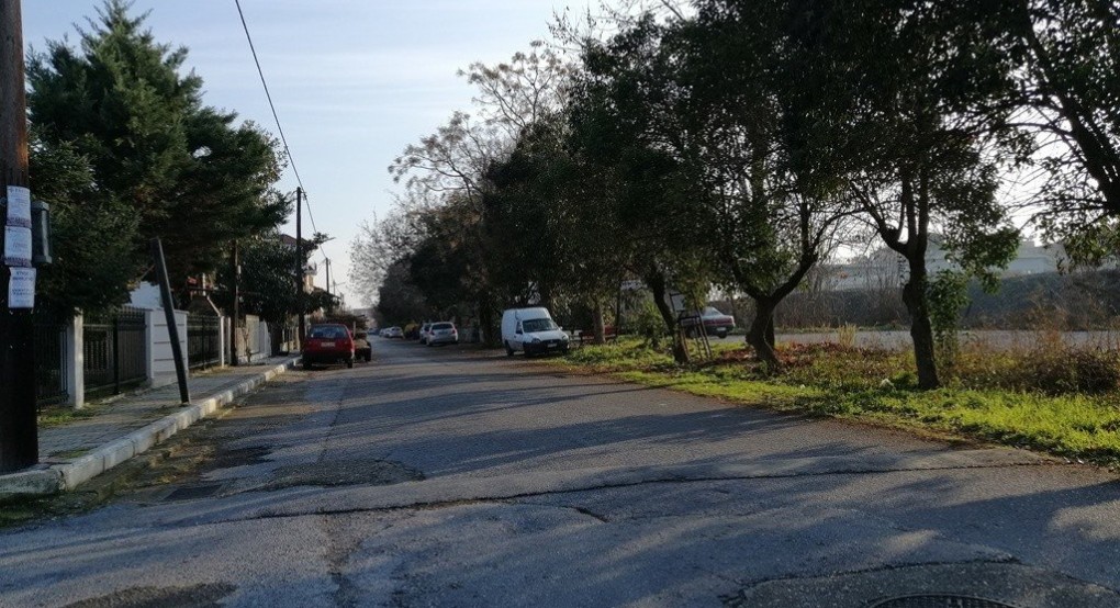 Υπηρεσία Πρασίνου Σκύδρας: Ξεκινούν εργασίες στην περιοχή "Ντεκοβιλ"