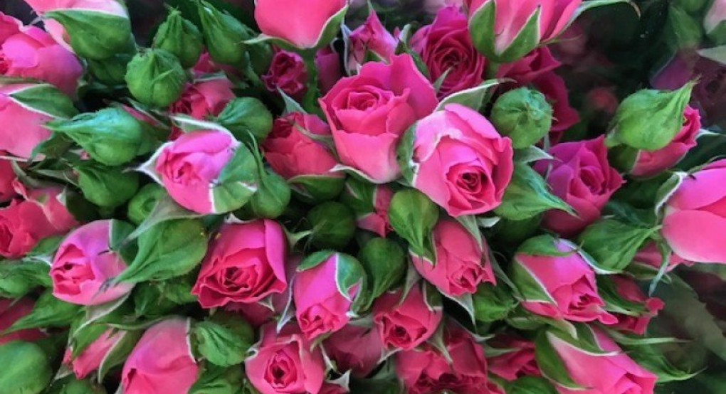 Ποιος γιορτάζει σήμερα...