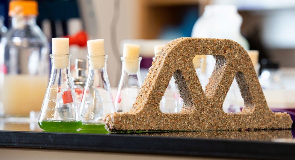 Δημιουργήθηκε για πρώτη φορά ζωντανό «μπετόν» από βακτήρια και άμμο