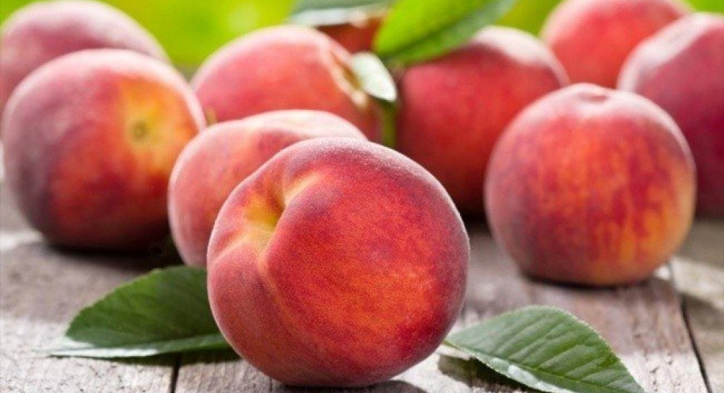 Σύσκεψη για το μέλλον του ροδάκινου από τον Αγροτικό Σύλλογο Γεωργών Βέροιας 