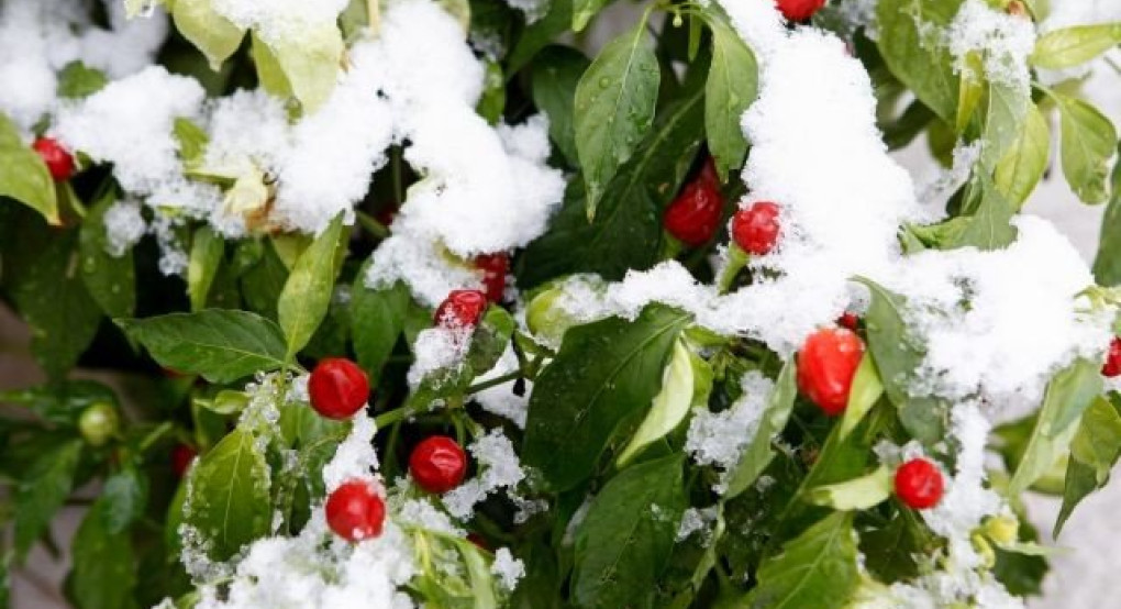 Ο καιρός μας...