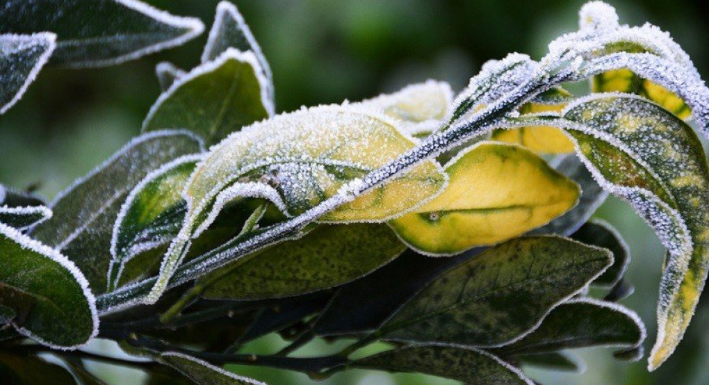 Ο καιρός μας...