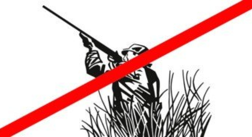 Δασική απαγορευτική διάταξη θήρας Δασαρχείου Αριδαίας