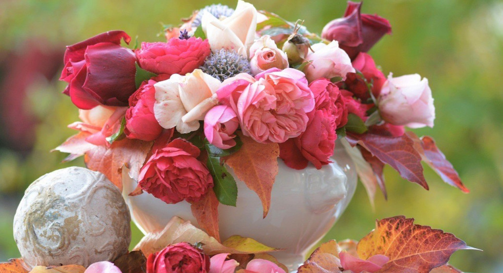 Χρόνια τους Πολλά!!