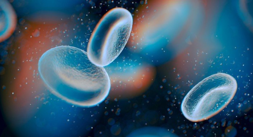 Ανακάλυψη ενός ανοσοποιητικού κυττάρου μπορεί στο μέλλον να βοηθήσει στη θεραπεία του καρκίνου 