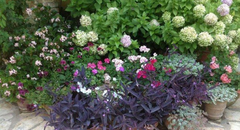 Η πιο… μακάβρια πινακίδα σε ελληνικό κήπο!