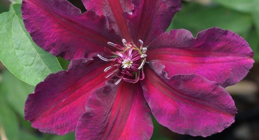 Ποιος γιορτάζει σήμερα...