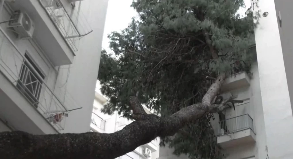 Τεράστιο πεύκο έπεσε σε μπαλκόνια πολυκατοικίας στη Θεσσαλονίκη μετά την κακοκαιρία Bora Τεράστιο πεύκο έπεσε σε μπαλκόνια πολυκατοικίας στη Θεσσαλονίκη μετά την κακοκαιρία Bora
