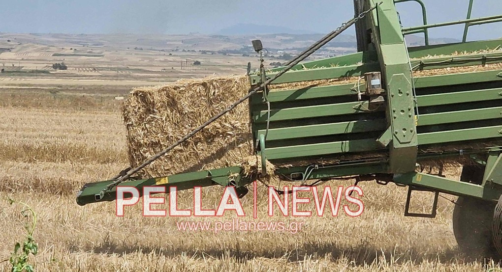 Παράταση υλοποίησης των Σχεδίων Βελτίωσης 2018 κατά δύο μήνες (Δράσεις 4.1.1 και 4.1.3)- Στα 451 εκ. € η απορρόφηση Παράταση υλοποίησης των Σχεδίων Βελτίωσης 2018 κατά δύο μήνες (Δράσεις 4.1.1 και 4.1.3)- Στα 451 εκ. € η απορρόφηση