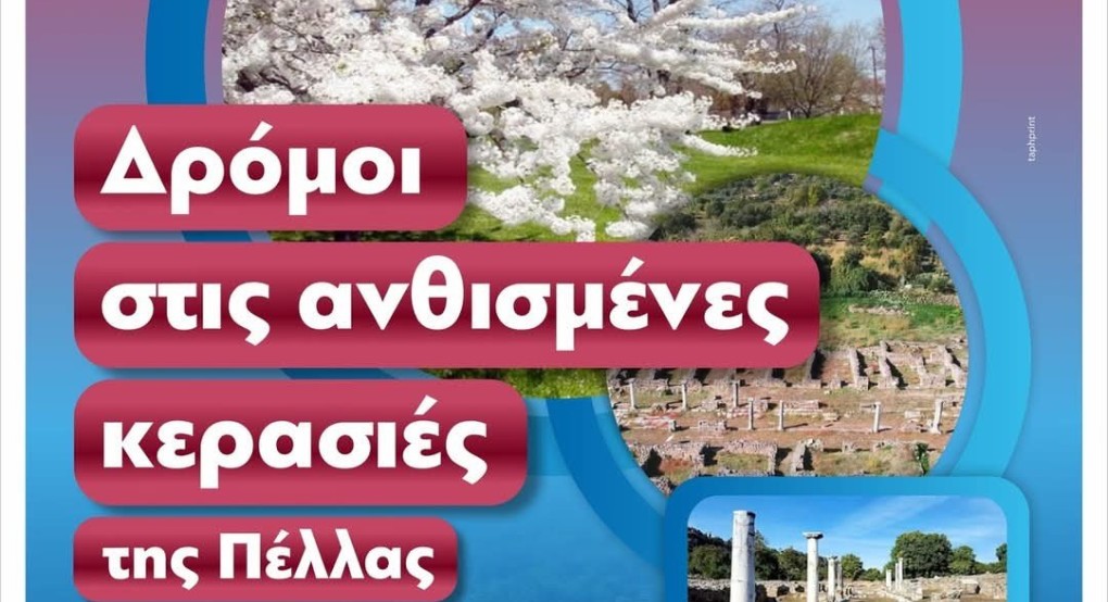 Αλλαγή τοποθεσίας για την εκδήλωση «Δρόμοι στις ανθισμένες κερασιές της Πέλλας»