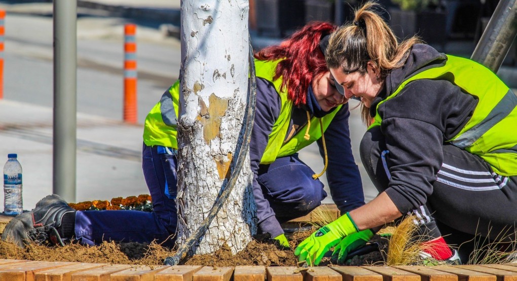 Άνοιξη στον Δήμο Δέλτα - Λουλούδια σε όλες τις πλατείες του δήμου