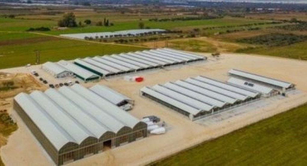 Μέσω του OpenBusiness η αδειοδότηση κτηνοτροφικών εγκαταστάσεων και υδατοκαλλιεργειών