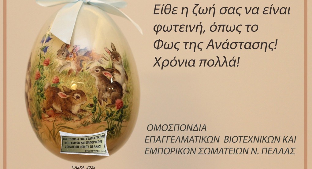 Ευχές από την ΟΕΒΕΣ Ν. Πέλλας για καλές γιορτές!