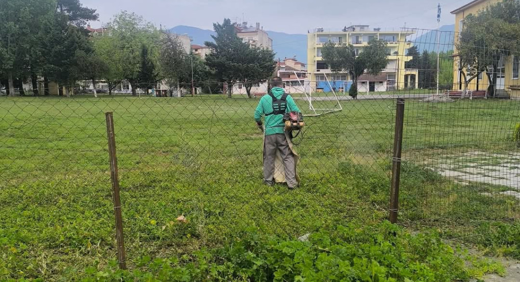 Στοχευμένες Παρεμβάσεις Πρασίνου στον Δήμο Αλμωπίας – Ολοκληρωμένος Σχεδιασμός με το Βλέμμα στο Αύριο Στοχευμένες Παρεμβάσεις Πρασίνου στον Δήμο Αλμωπίας – Ολοκληρωμένος Σχεδιασμός με το Βλέμμα στο Αύριο