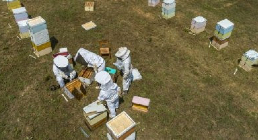 Έως 30 Μαΐου αιτήσεις για τη διευκόλυνση μετακινήσεων κυψελών και στήριξη νομαδικής μελισσοκομίας Έως 30 Μαΐου αιτήσεις για τη διευκόλυνση μετακινήσεων κυψελών και στήριξη νομαδικής μελισσοκομίας
