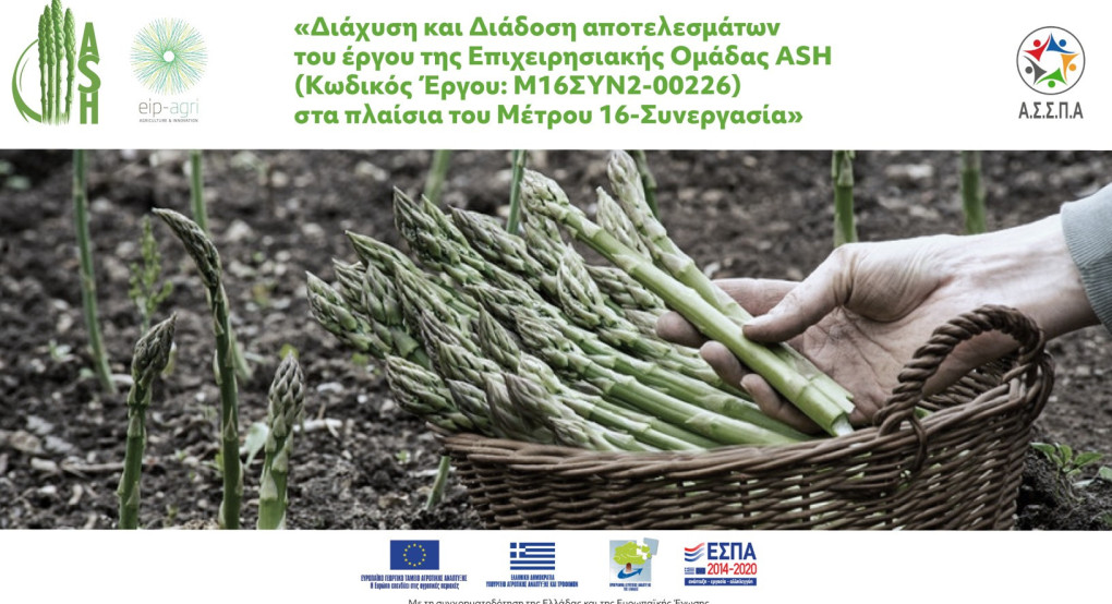 Ημερίδα – Ανοιχτή Συζήτηση για τη Διάχυση και Διάδοση αποτελεσμάτων έργου ASH του Μέτρου 16-Συνεργασία Ημερίδα – Ανοιχτή Συζήτηση για τη Διάχυση και Διάδοση αποτελεσμάτων έργου ASH του Μέτρου 16-Συνεργασία
