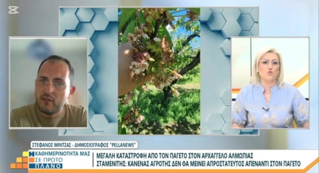 Ο Στέφανος Μίντζας στη Βεργίνα Τηλεόραση για τις ζημιές στα κεράσια και τις αποζημιώσεις Ο Στέφανος Μίντζας στη Βεργίνα Τηλεόραση για τις ζημιές στα κεράσια και τις αποζημιώσεις