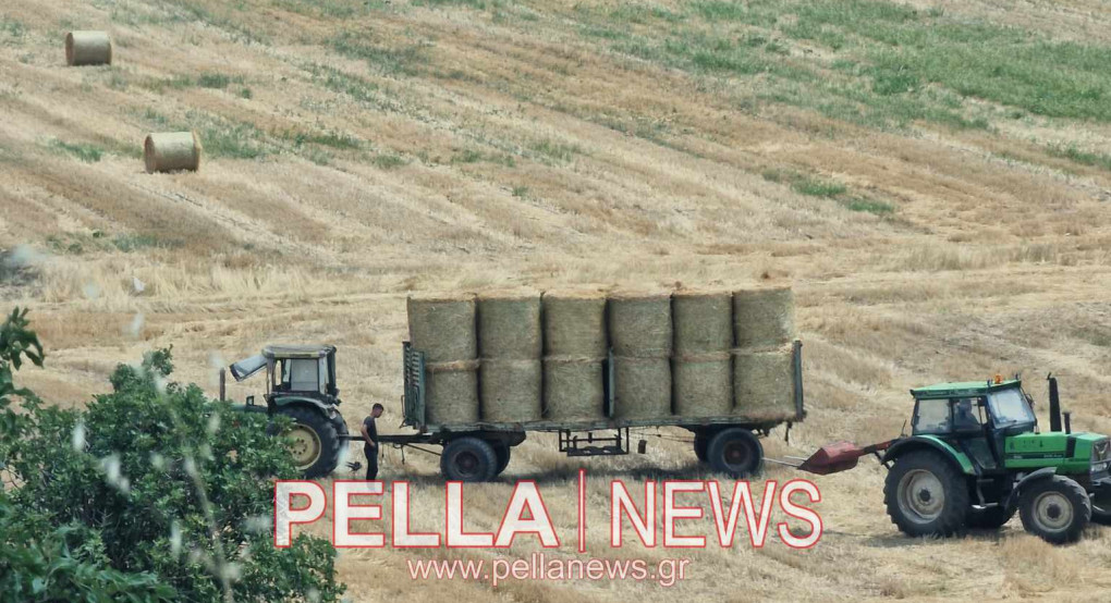 Σε ανοδική τροχιά η αγορά αγροτικών μηχανημάτων το 2024 – Γερασμένος ο ελληνικός στόλος Σε ανοδική τροχιά η αγορά αγροτικών μηχανημάτων το 2024 – Γερασμένος ο ελληνικός στόλος