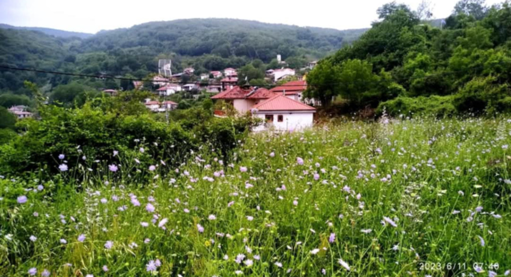 Διαδρομή στην Φύση και στο Όμορφο δάσος της Κούπας Διαδρομή στην Φύση και στο Όμορφο δάσος της Κούπας