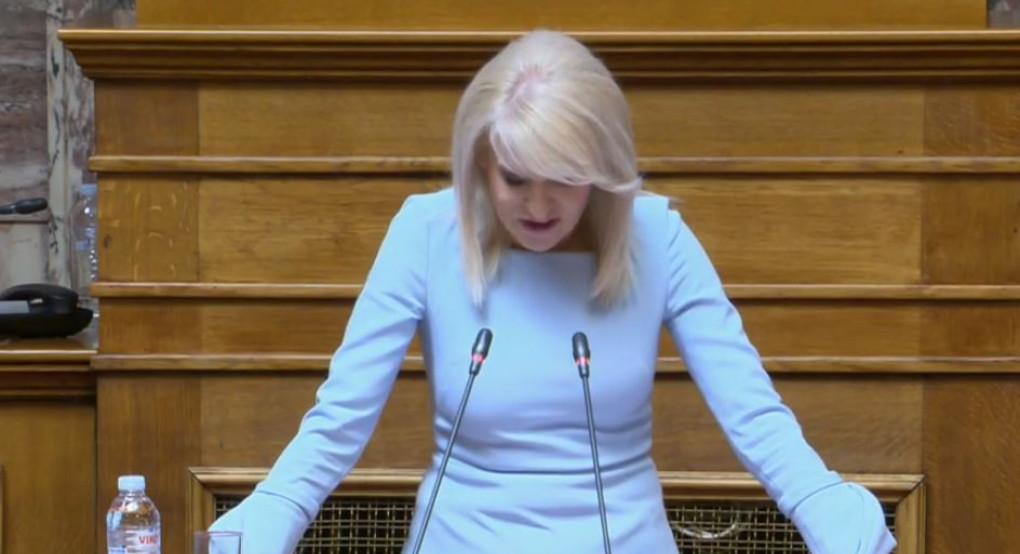 Θ. Τζάκρη - Τοποθέτηση στη Βουλή για τον νέο Αναπτυξιακό Νόμο