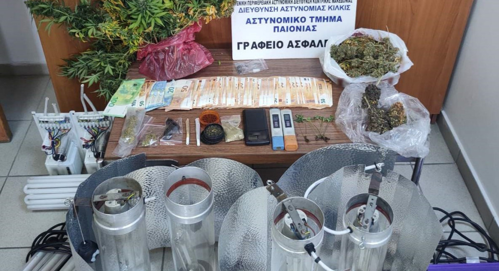 Συνελήφθη ένα άτομο για καλλιέργεια δενδρυλλίων κάνναβης Συνελήφθη ένα άτομο για καλλιέργεια δενδρυλλίων κάνναβης